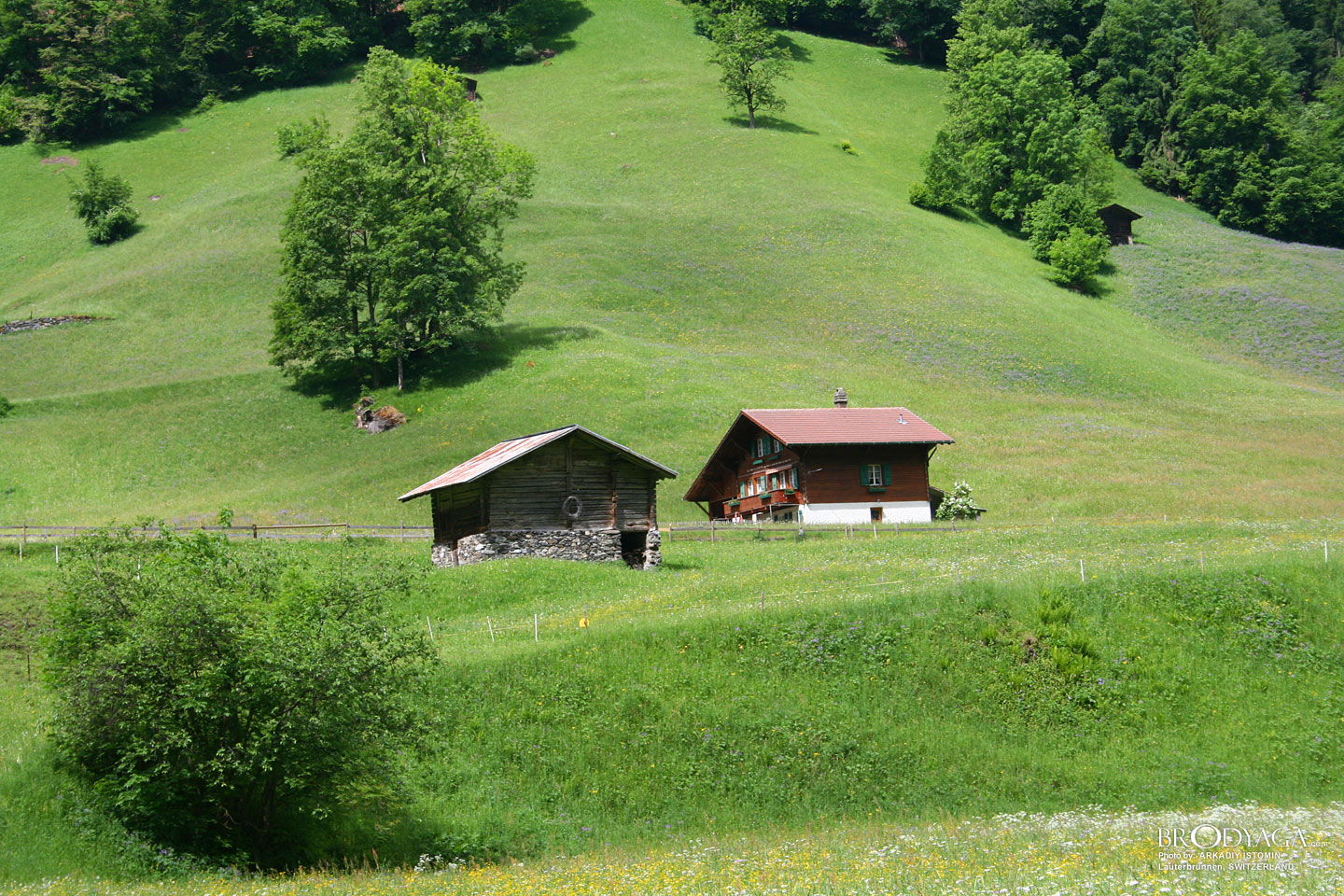 Lauterbrunnen